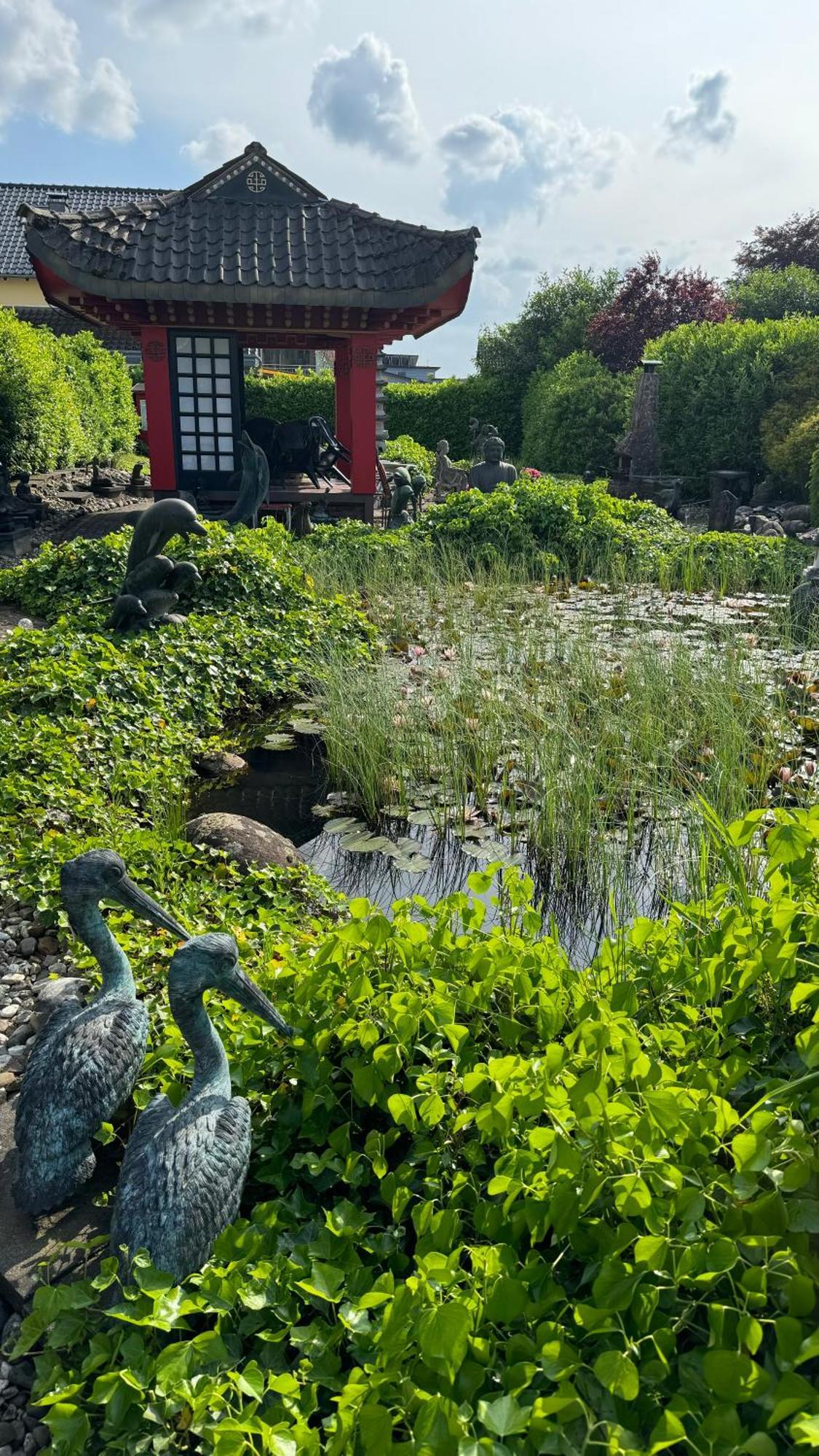 Asian Garden - Das Ferienhaus Lohmar Dış mekan fotoğraf
